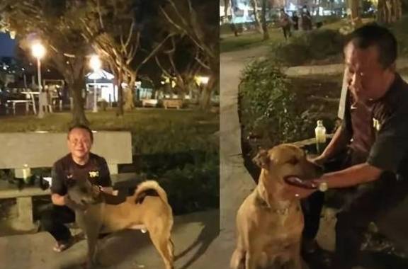 家长牵双胞胎散步遇男子牵俩狗,街头那点事,咋就成了大讨论? 家长牵双胞胎散步遇男子牵俩狗,街头那点事,咋就成了大讨论?