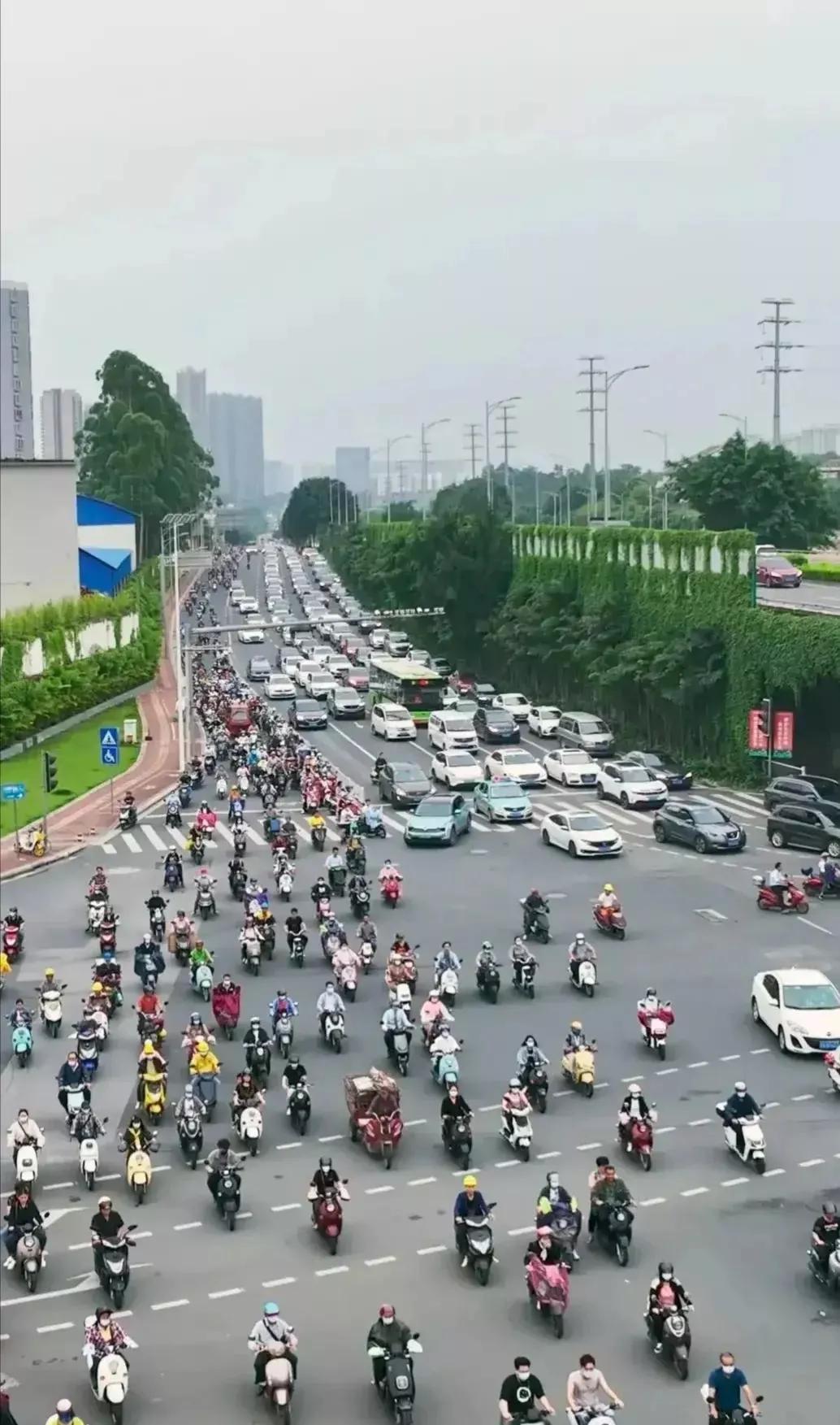 电动车突然嘀一声，她吓得差点把手机扔了，为什么我们会被这些声音吓到？