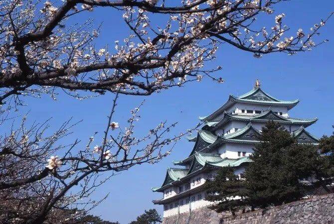 名古屋vs广厦,两个看似不搭边的城市,一场关于文化与热血的隐秘共鸣 名古屋vs广厦,两个看似不搭边的城市,一场关于文化与热血的隐秘共鸣